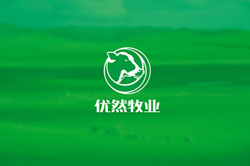 品牌策略規劃、VI設計、LOGO設計、產(chǎn)品包裝設計