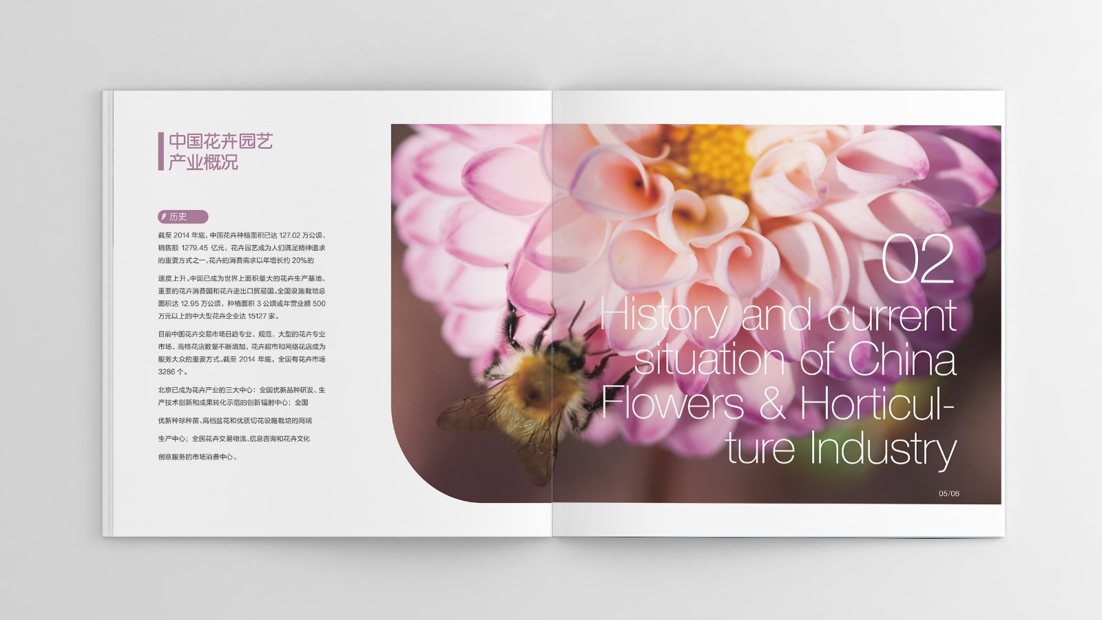 世園會(huì )招商宣傳畫(huà)冊設計制作