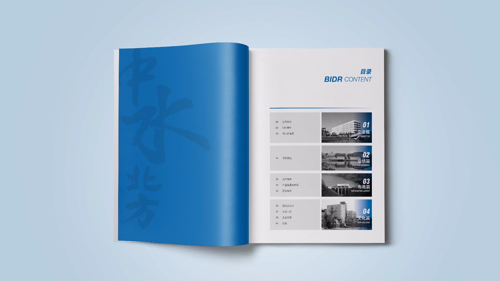 中水北方畫(huà)冊設計制作