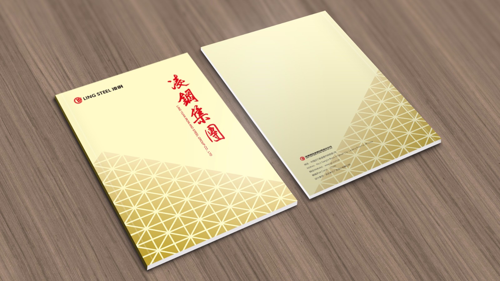 凌源鋼鐵50周年平面畫(huà)冊設計