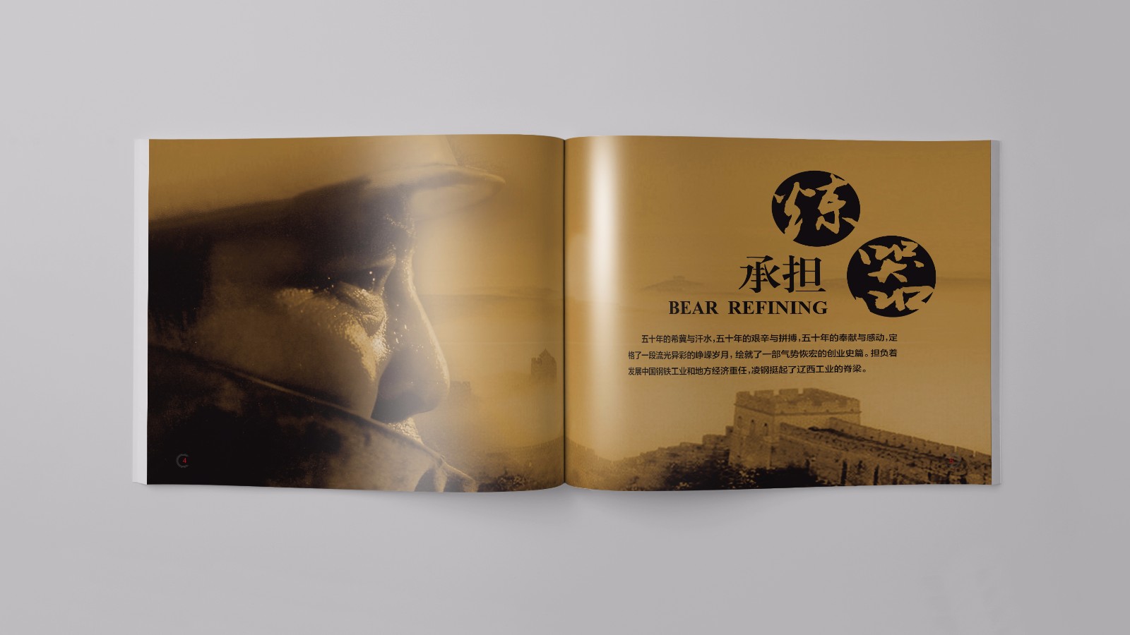 凌源鋼鐵平面畫(huà)冊設計