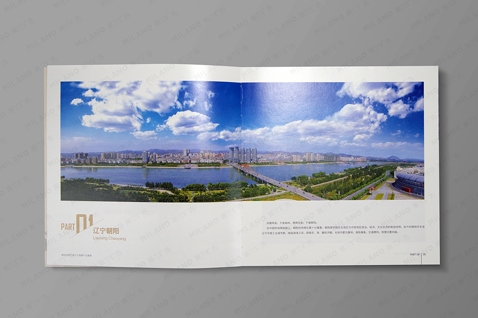 企業(yè)宣傳畫(huà)冊設計制作