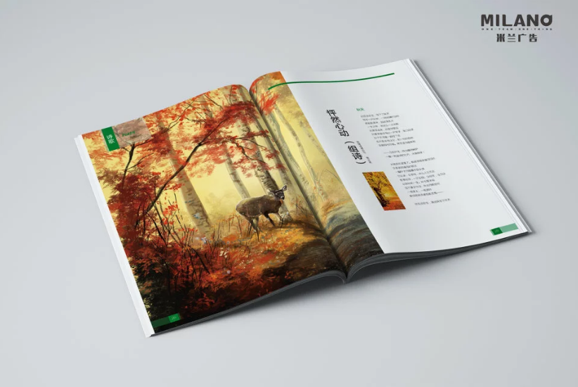 畫(huà)冊設計制作