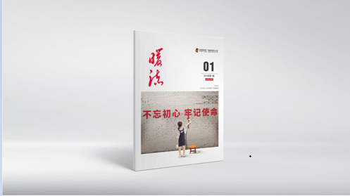 畫(huà)冊設計