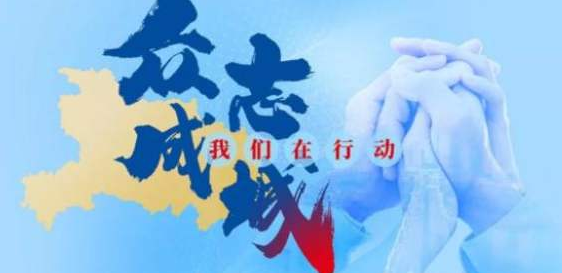 畫(huà)冊設計